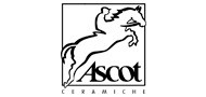 https://www.ascot.it/en/company/